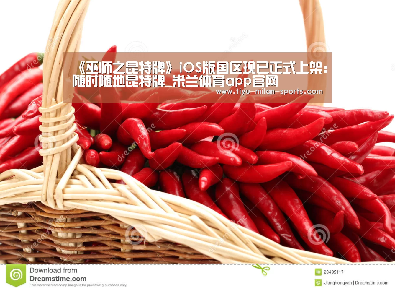 MILANSPORT下载