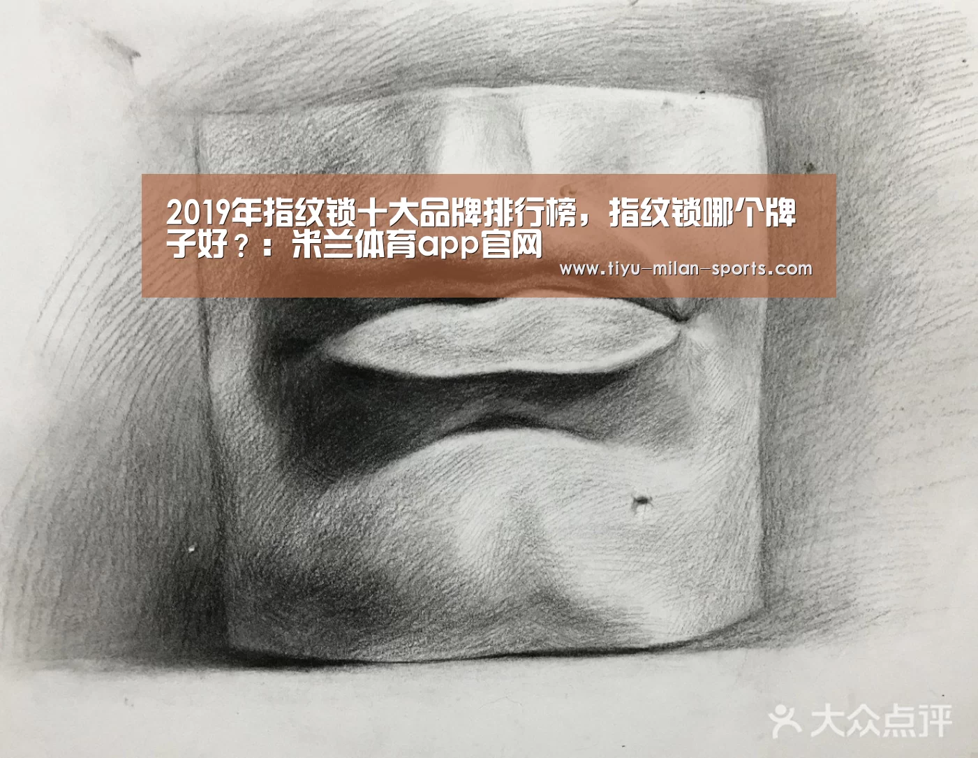 2019年指纹锁十大品牌排行榜,指纹锁哪个牌子好?:米兰体育app官网(图3) 米兰体育app