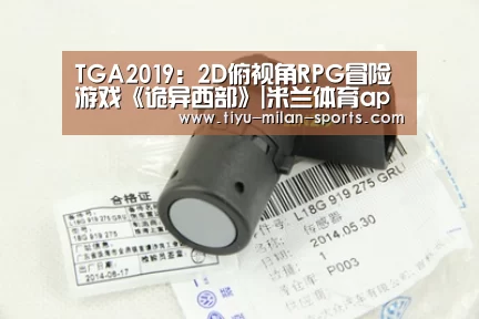 TGA2019:2D俯视角RPG冒险游戏《诡异西部》|米兰体育app官网(图2) MILANSPORT下载